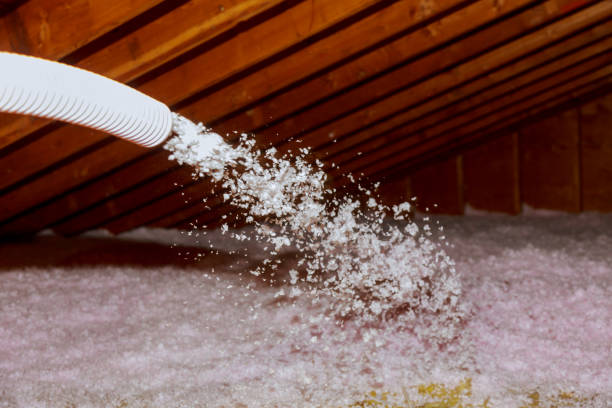 Best Local Insulation Services  in Kenly, NC