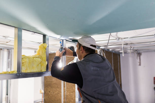Best Insulation Contractor Near Me  in Kenly, NC
