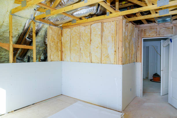 Best Home Insulation Services  in Kenly, NC