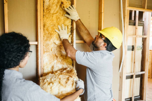 Best Insulation for New Construction  in Kenly, NC