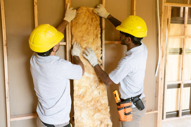 Best Attic Insulation Near Me  in Kenly, NC