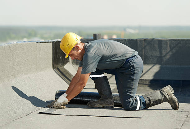 Best Insulation Replacement Services  in Kenly, NC