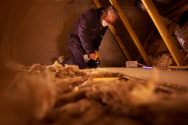 Best Best Insulation Companies  in Kenly, NC