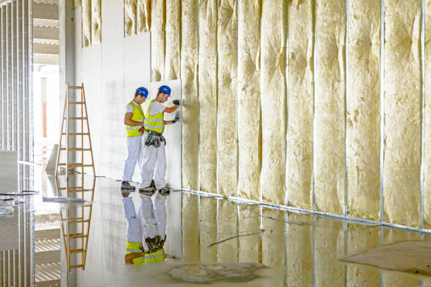 Best Spray Foam Insulation  in Kenly, NC